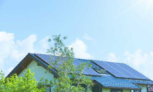 畜電池の補助金